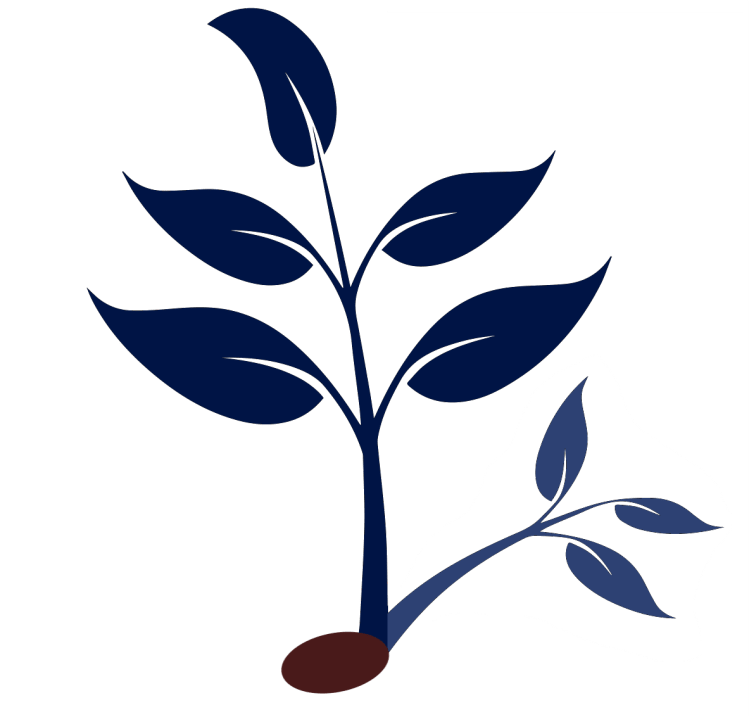 Logo-Solange-Delageniere